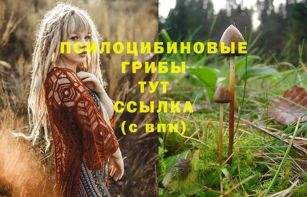 кокс Заволжье