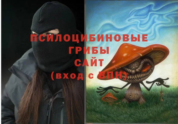 твердый Зеленодольск