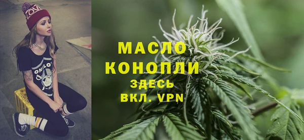 твердый Зеленодольск
