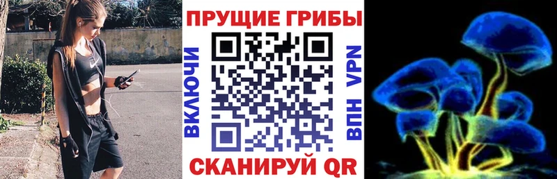 Галлюциногенные грибы GOLDEN TEACHER  Альметьевск 